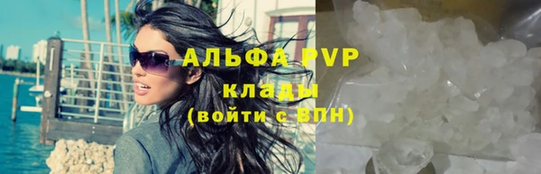 хмурый Белокуриха