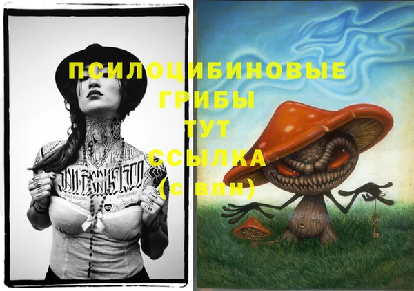 дмт Беломорск