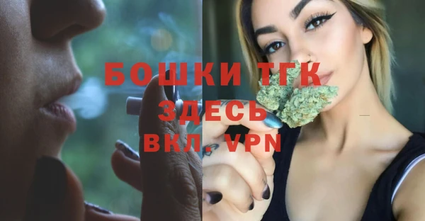 хмурый Белокуриха