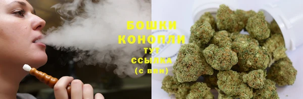 хмурый Белокуриха