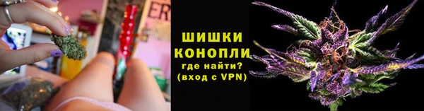 хмурый Белокуриха