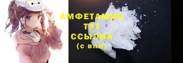 хмурый Белокуриха