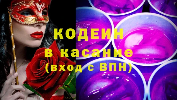 хмурый Белокуриха