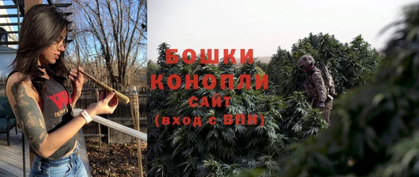 хмурый Белокуриха