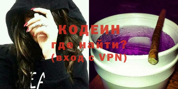 хмурый Белокуриха