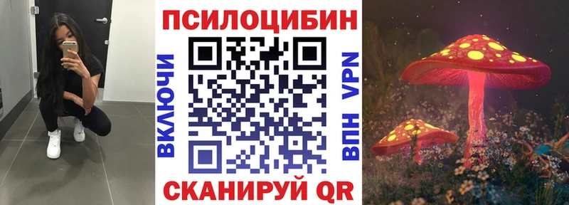 Галлюциногенные грибы Magic Shrooms  площадка состав  Курганинск 